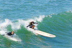 SDSurfers076