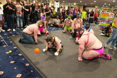 IML2023_PetsGallery22