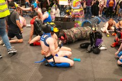 IML2023_PetsGallery25