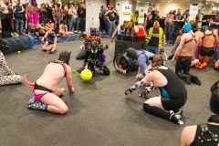 IML2023_PetsGallery34