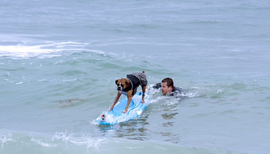 Surferdog gets a helping push from its helper.