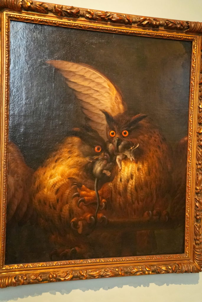 Owls from Hell.